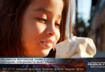 Как не отравиться мороженым? Мягкое мороженое