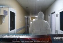 С начала года в Шымкенте зафиксировано 3 случая сибирской язвы Сибирская язва