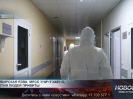 Сибирская язва