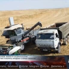 Запасы зерна в Казахстане теряют цену из-за хранения и дорогой логистики Уборка зерновых
