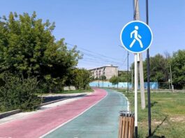 Прогулочная зона дендропарка