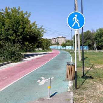 Прогулочная зона дендропарка