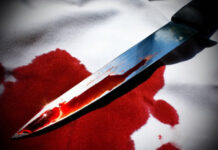 В Шымкенте обнаружили тело 26-летней женщины с ножевыми ранениями Нож. кровь. Убийство ножом