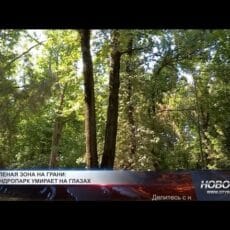 Угроза дендропарку: Шымкент рискует остаться без главной зелёной зоны Дендропарк Шымкента