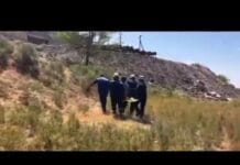 Мужчина сорвался с 10-метрового моста в Шымкенте Спасательная операция