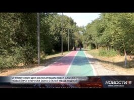 Прогулочная зона в дендропарке