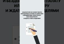 Жителям упростили доступ к судебным исполнителям через приложение «Adilet»