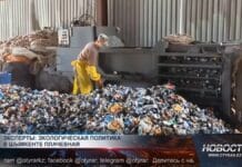 Эксперты заявили о плачевной экологической ситуации в Шымкенте