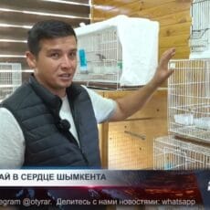 Птичий рай в сердце Шымкента