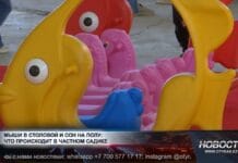 Мыши в столовой и сон на полу: что происходит в частном детсаду?