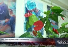 Истории выздоровлений в Шымкенте превращаются в зелёный сад