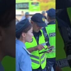 Аналитика: эффективность мер по взысканию алиментов в Шымкенте