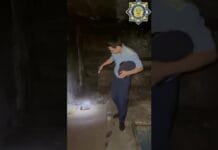 Анализ эффективности профилактических рейдов в поддержании общественного порядка