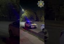 22 жителя Шымкента привлечены к ответственности за нарушения закона