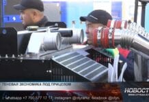 Бой с тенью: с кем планируют бороться в Казахстане?