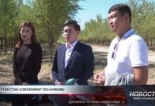 Туркестан озеленяют по-новому