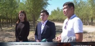 Туркестан озеленяют по-новому