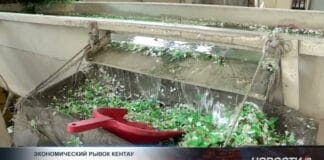 Кентау привлёк 5,3 миллиарда инвестиций и готовит 16 новых проектов