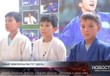 В Кентау делают ставку на массовый спорт