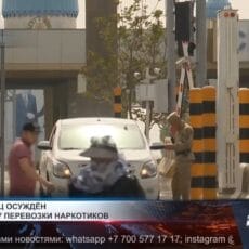 Иностранец в Сарыагаше осуждён за попытку перевозки наркотиков