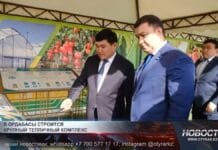 В Ордабасы строится крупный тепличный комплекс