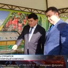 В Ордабасы строится крупный тепличный комплекс