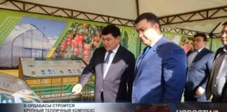 В Ордабасы строится крупный тепличный комплекс