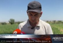 «Наш урожай засох — мы в убытке»