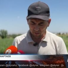 «Наш урожай засох — мы в убытке»