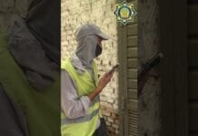 Жителей Шымкента призывают сообщать о противоправных действиях