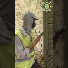 Жителей Шымкента призывают сообщать о противоправных действиях