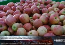 В Тюлькубасском районе развивают садоводство и промышленность