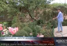 Огород в копеечку: шымкентцы платят всё больше за полив