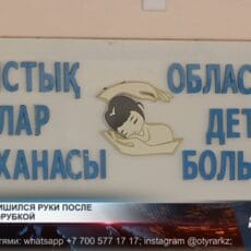 Ребенок лишился руки после игр с мясорубкой