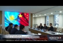 Туркестанская область делает ставку на перерабатывающую промышленность