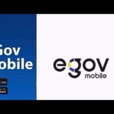 Цифровые решения для правовой поддержки населения