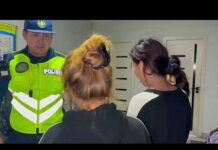 В Шымкенте под видом благотворительности иностранки распространяли салфетки с номерами Kaspi