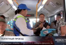 «Зайцев» в шымкентских автобусах беспощадно штрафуют