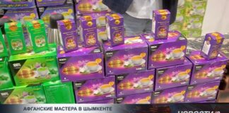 В Шымкенте проходит выставка лучших афганских товаров