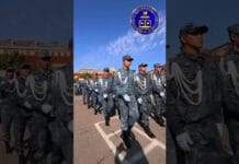 В Шымкенте будущие защитники правопорядка познакомились с работой спецподразделений полиции