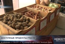 В Шымкенте открылись 14 торговых точек с социальными продуктами