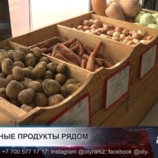 В Шымкенте открылись 14 торговых точек с социальными продуктами