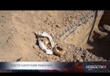 Житель Шымкента нашел кости и череп в пакете возле супермаркета