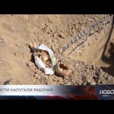 Житель Шымкента нашел кости и череп в пакете возле супермаркета