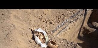 Житель Шымкента нашел кости и череп в пакете возле супермаркета