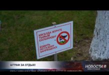 Отдых на газоне обернулся штрафом для жителя Шымкента