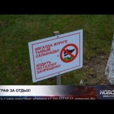 Отдых на газоне обернулся штрафом для жителя Шымкента