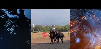 Житель Шымкента установили рекорд стоя на лошадях