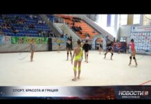 Спорт, красота и грация: гимнастки соревнуются в Шымкенте