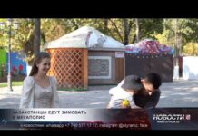 Путешественники вместо тропических стран едут на зимовку в Шымкент